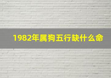 1982年属狗五行缺什么命