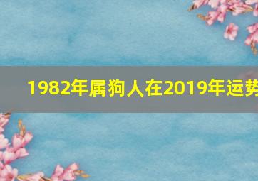 1982年属狗人在2019年运势