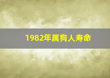 1982年属狗人寿命