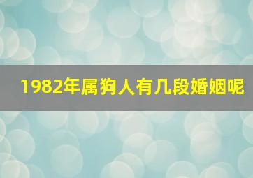 1982年属狗人有几段婚姻呢