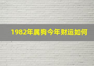 1982年属狗今年财运如何