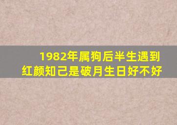 1982年属狗后半生遇到红颜知己是破月生日好不好