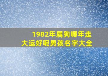 1982年属狗哪年走大运好呢男孩名字大全