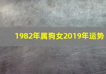 1982年属狗女2019年运势