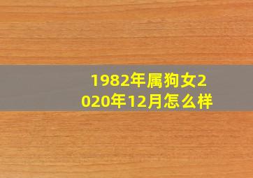 1982年属狗女2020年12月怎么样