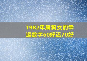 1982年属狗女的幸运数字60好还70好