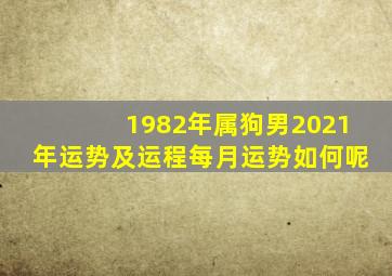 1982年属狗男2021年运势及运程每月运势如何呢