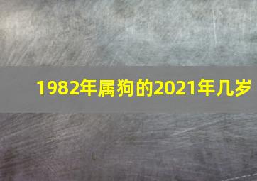 1982年属狗的2021年几岁