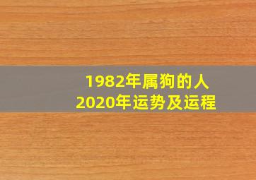 1982年属狗的人2020年运势及运程