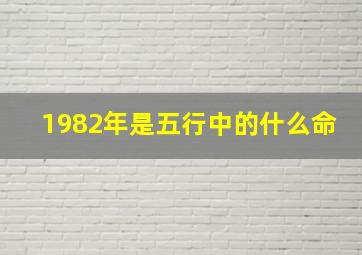 1982年是五行中的什么命