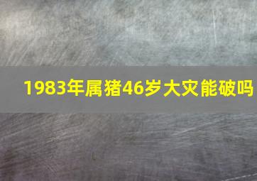 1983年属猪46岁大灾能破吗