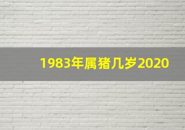 1983年属猪几岁2020