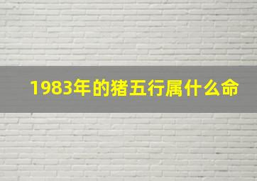 1983年的猪五行属什么命