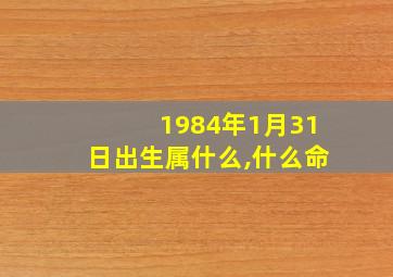 1984年1月31日出生属什么,什么命