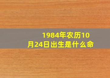 1984年农历10月24日出生是什么命