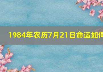 1984年农历7月21日命运如何