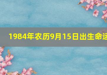 1984年农历9月15日出生命运