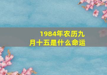 1984年农历九月十五是什么命运