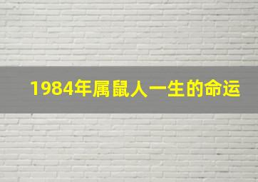 1984年属鼠人一生的命运