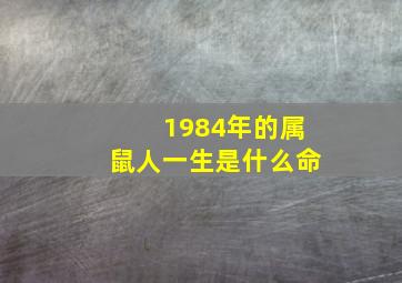 1984年的属鼠人一生是什么命