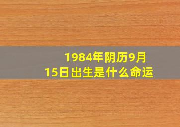 1984年阴历9月15日出生是什么命运