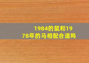 1984的鼠和1978年的马相配合适吗