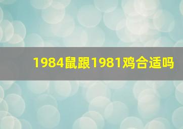 1984鼠跟1981鸡合适吗