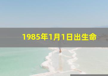 1985年1月1日出生命