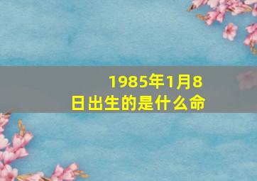 1985年1月8日出生的是什么命