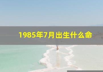 1985年7月出生什么命