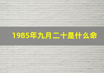 1985年九月二十是什么命