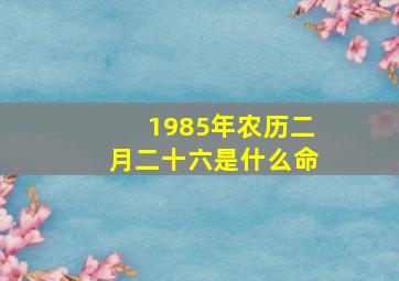 1985年农历二月二十六是什么命