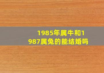 1985年属牛和1987属兔的能结婚吗