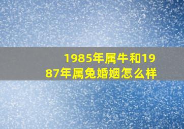 1985年属牛和1987年属兔婚姻怎么样