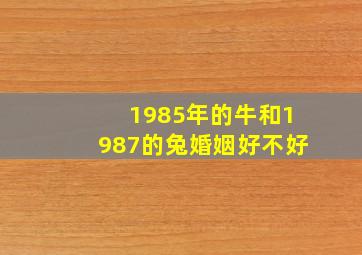 1985年的牛和1987的兔婚姻好不好