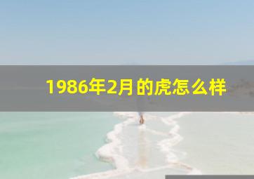 1986年2月的虎怎么样