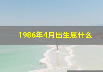 1986年4月出生属什么