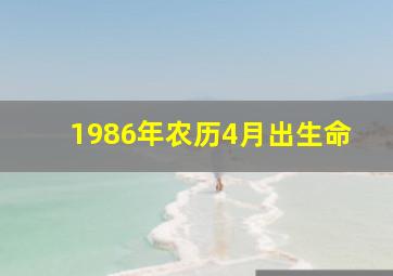 1986年农历4月出生命