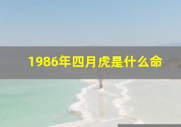 1986年四月虎是什么命