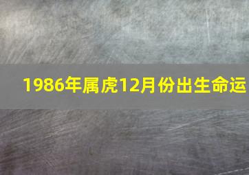 1986年属虎12月份出生命运