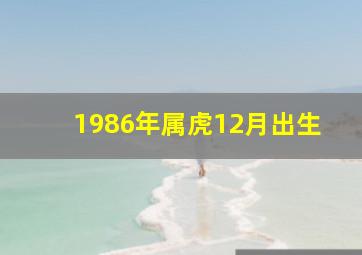 1986年属虎12月出生