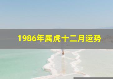 1986年属虎十二月运势