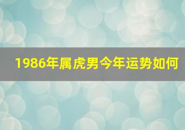 1986年属虎男今年运势如何