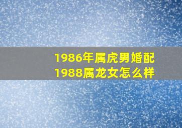 1986年属虎男婚配1988属龙女怎么样