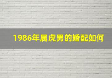 1986年属虎男的婚配如何