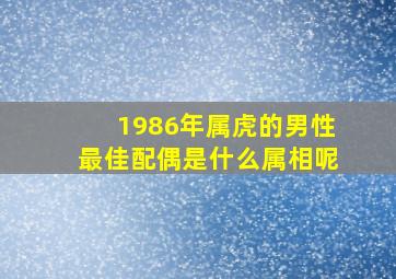 1986年属虎的男性最佳配偶是什么属相呢