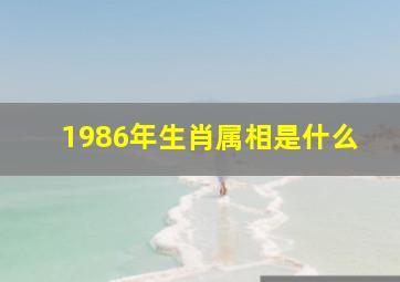 1986年生肖属相是什么