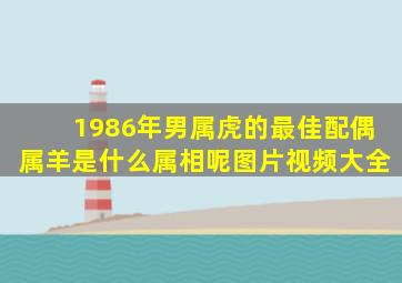 1986年男属虎的最佳配偶属羊是什么属相呢图片视频大全