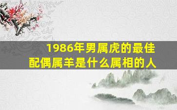 1986年男属虎的最佳配偶属羊是什么属相的人