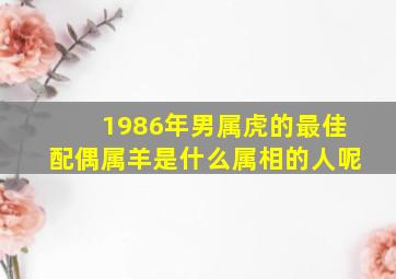 1986年男属虎的最佳配偶属羊是什么属相的人呢